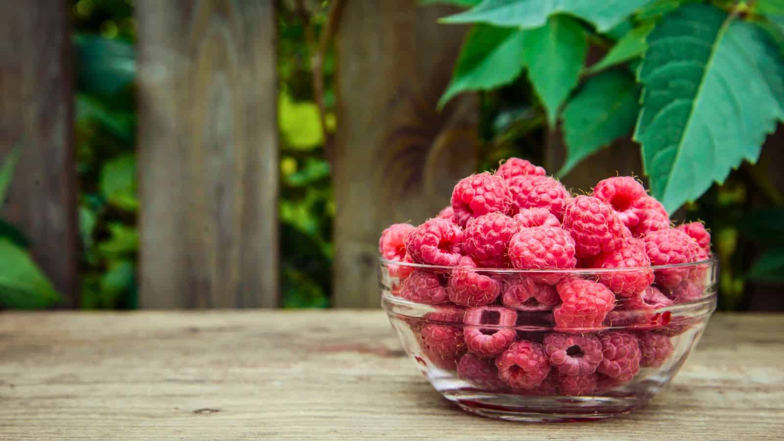 A clear glass bowl filled with fresh raspberries sits on a wooden surface outdoors, with green leaves and a wooden fence in the blurred background.