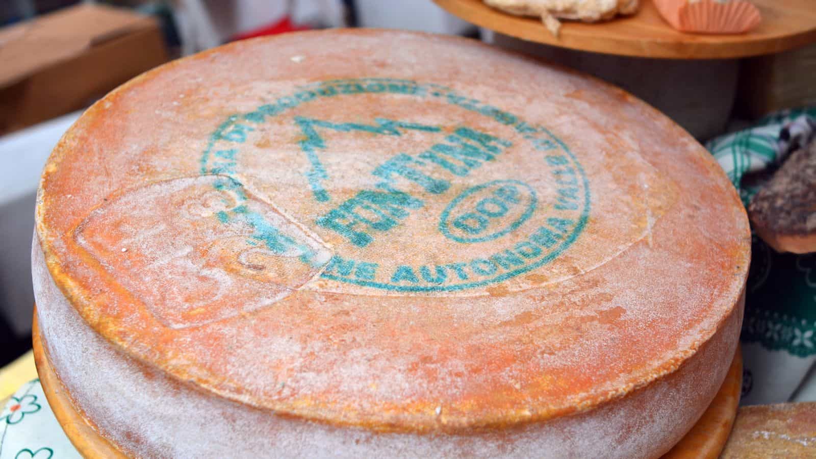 A large, round wheel of Fontina cheese with a stamped blue-green label on its rind sits on a table. The surface is dusty and textured, with faint orange and beige hues.