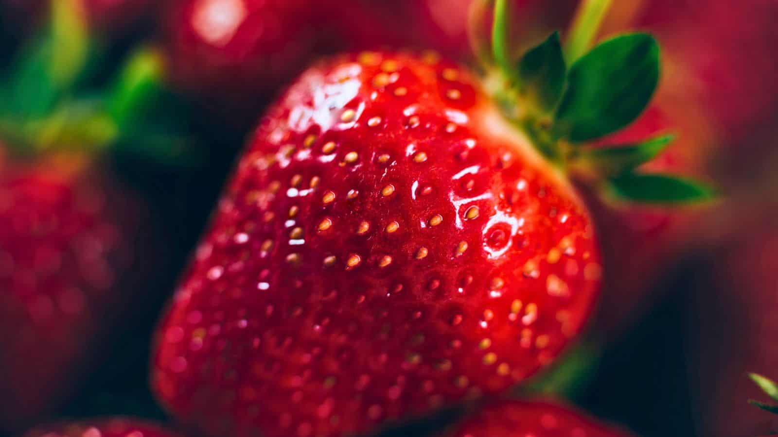 Close-up of a ripe red strawberry with visible seeds and green leaves, showing detailed texture and glossy surface, with other strawberries blurred in the background.