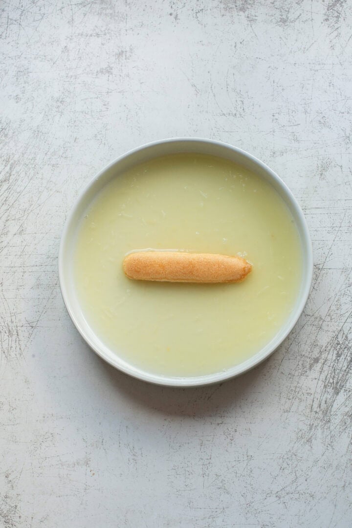 A single ladyfinger biscuit is placed in the center of a shallow white bowl filled with a pale yellow liquid on a textured gray surface.