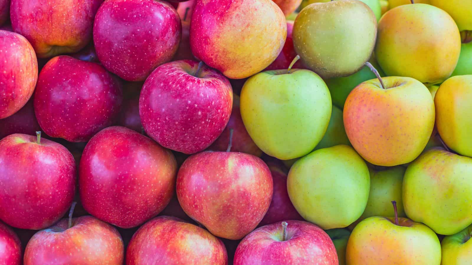 A close-up view of apples arranged in rows, with red apples on the left side and green apples on the right side. The apples are fresh and have smooth, glossy skins.