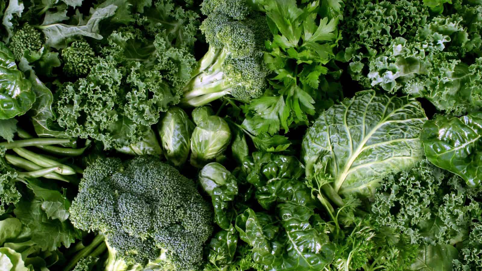 Assorted leafy green vegetables including kale, broccoli, Swiss chard, parsley, and cabbage arranged closely together, filling the entire frame.