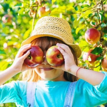 A child wearing a straw hat and blue shirt holds two red apples in front of their eyes, standing in an apple orchard with apple trees and green leaves in the background.