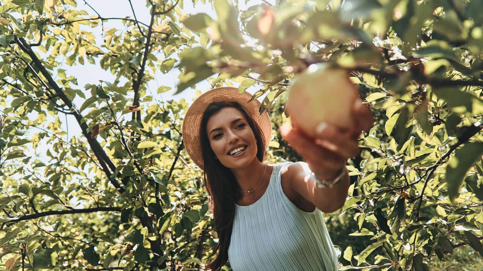 A woman wearing a straw hat and sleeveless top stands among green trees and holds out an apple, smiling at the camera on a sunny day.