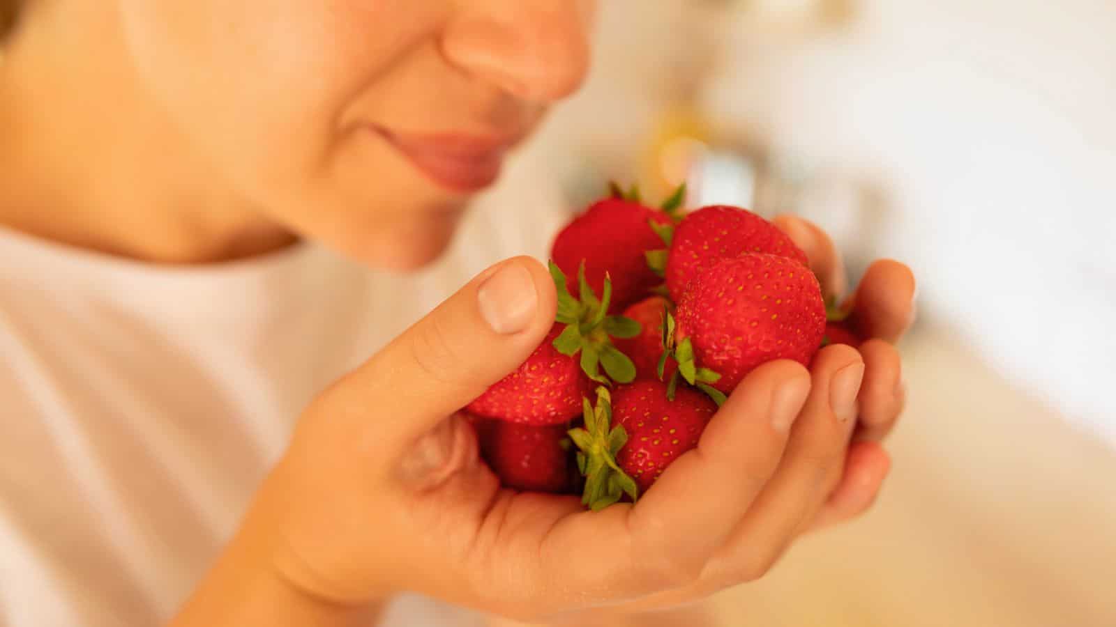 A person holds a handful of fresh strawberries close to their face, appearing to smell them. The background is blurred, and the person is wearing a white shirt.