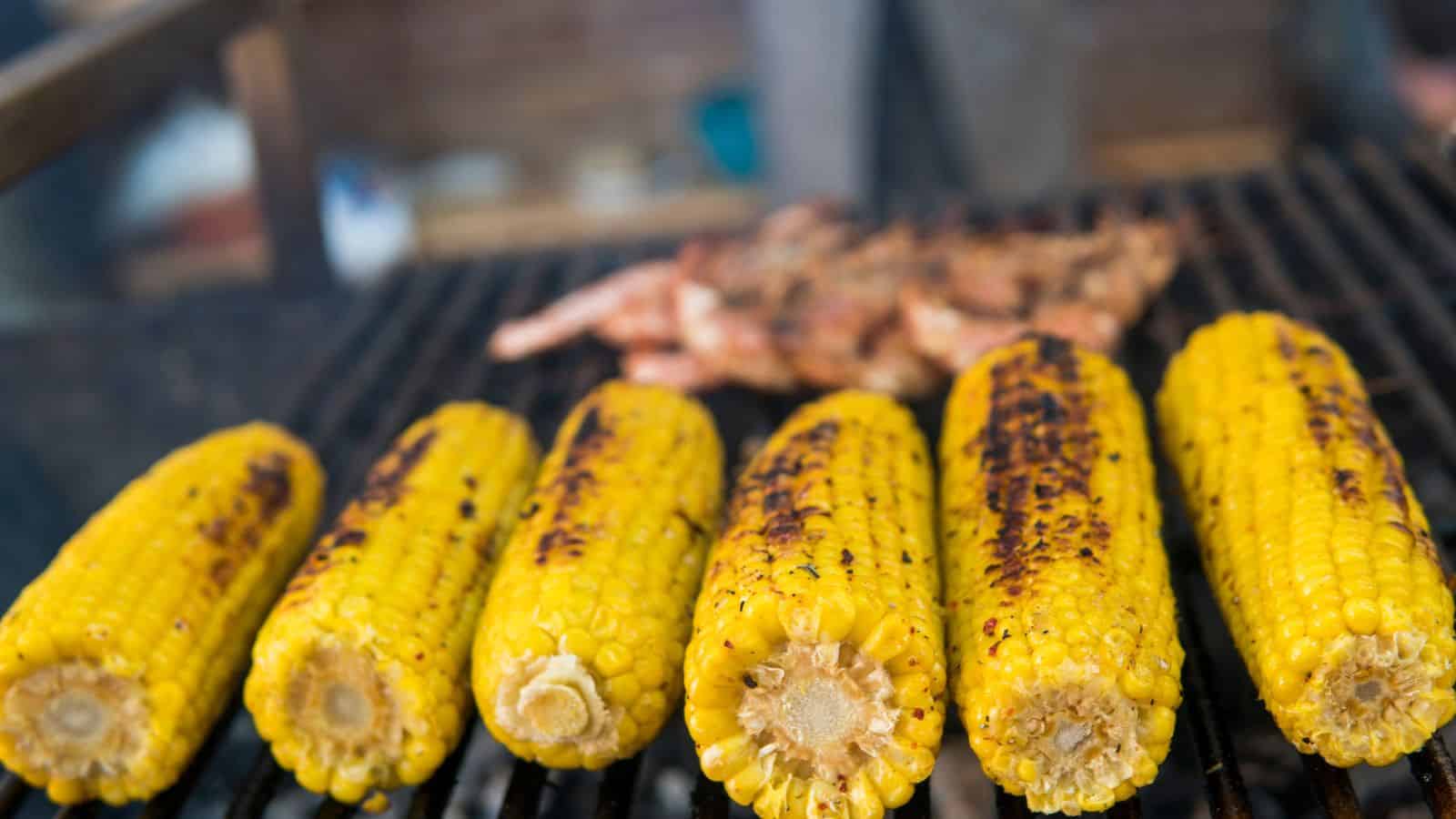 Six ears of corn with grill marks are lined up on a barbecue grill. In the background, pieces of meat or shrimp are also cooking on the grill. The scene appears to be outdoors.