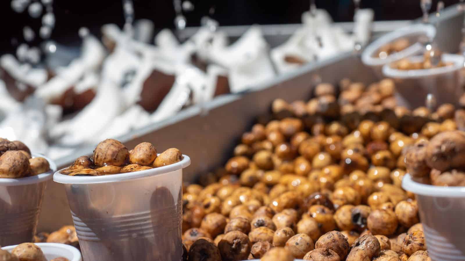Close-up of plastic cups filled with wet brown nuts or seeds, with more scattered on a metal tray. In the background, there are white coconut pieces and streams of water falling onto the nuts.