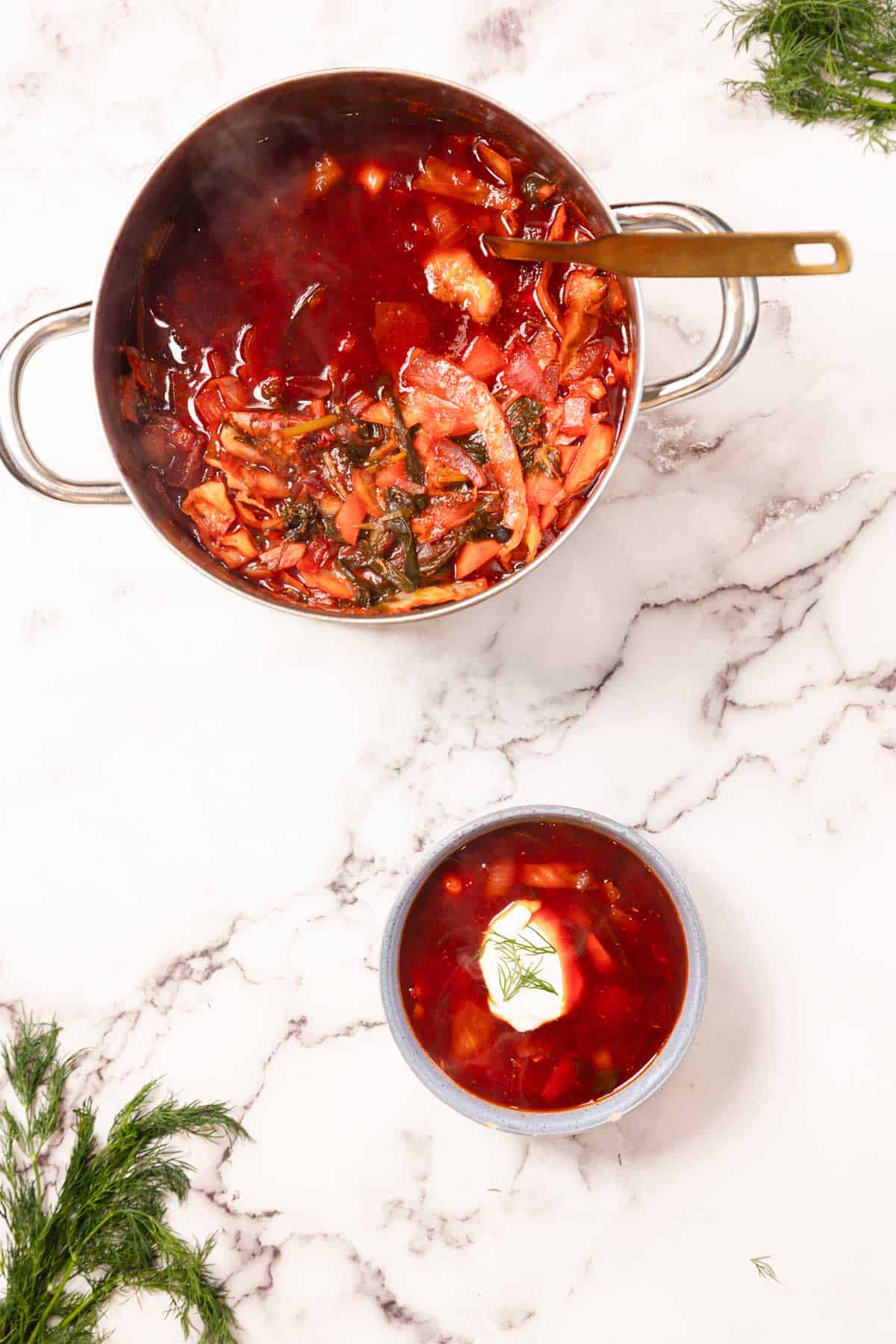 A pot and a bowl of Chicken Borscht soup with cabbage, topped with sour cream and fresh dill on a marble surface.