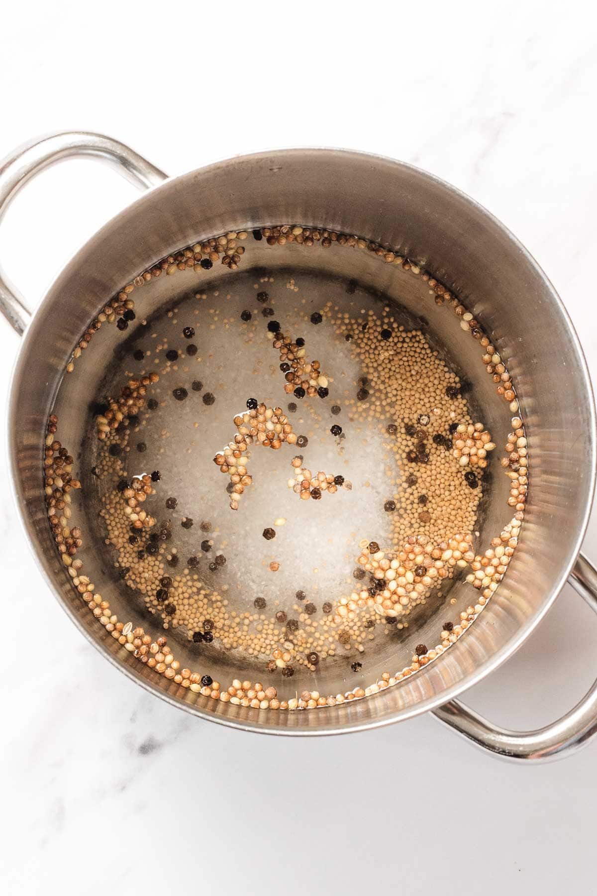 Stainless steel pot with water, mustard seeds, peppercorns, and sugar on a white surface.