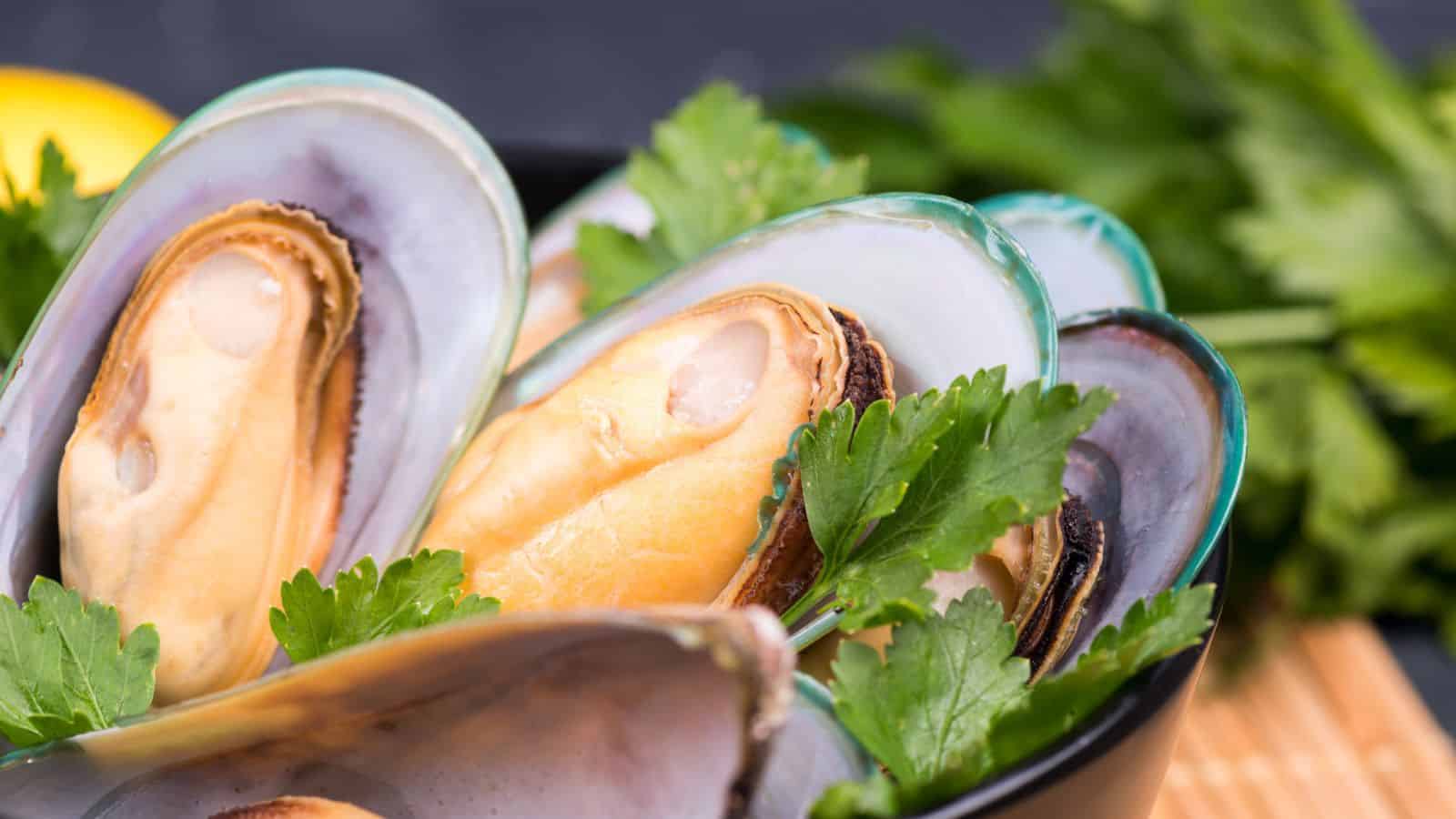 Close-up of several cooked mussels in their shells, garnished with fresh parsley. The mussels are arranged in a black bowl with green parsley leaves and a blurred background.