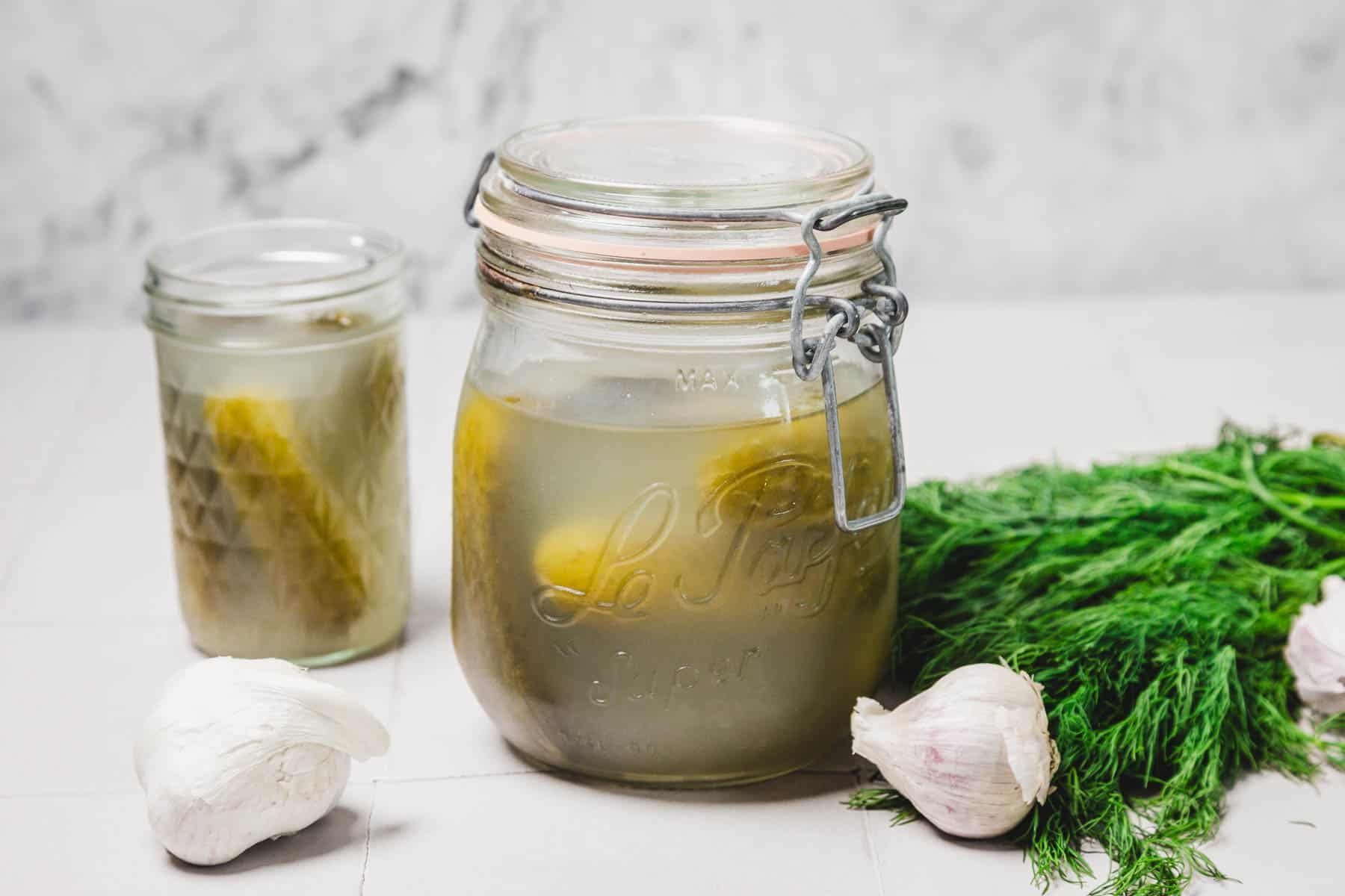 A jar of pickles and brine sits on a table with garlic bulbs and fresh dill beside it.