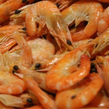 A pile of cooked shrimp with shells and heads still on, showing their orange-pink color.