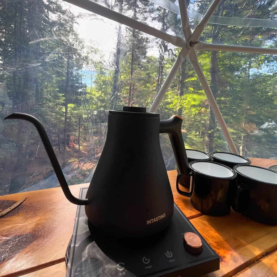 A black electric kettle and mugs on a table inside a dome, with a forest visible through the clear wall.