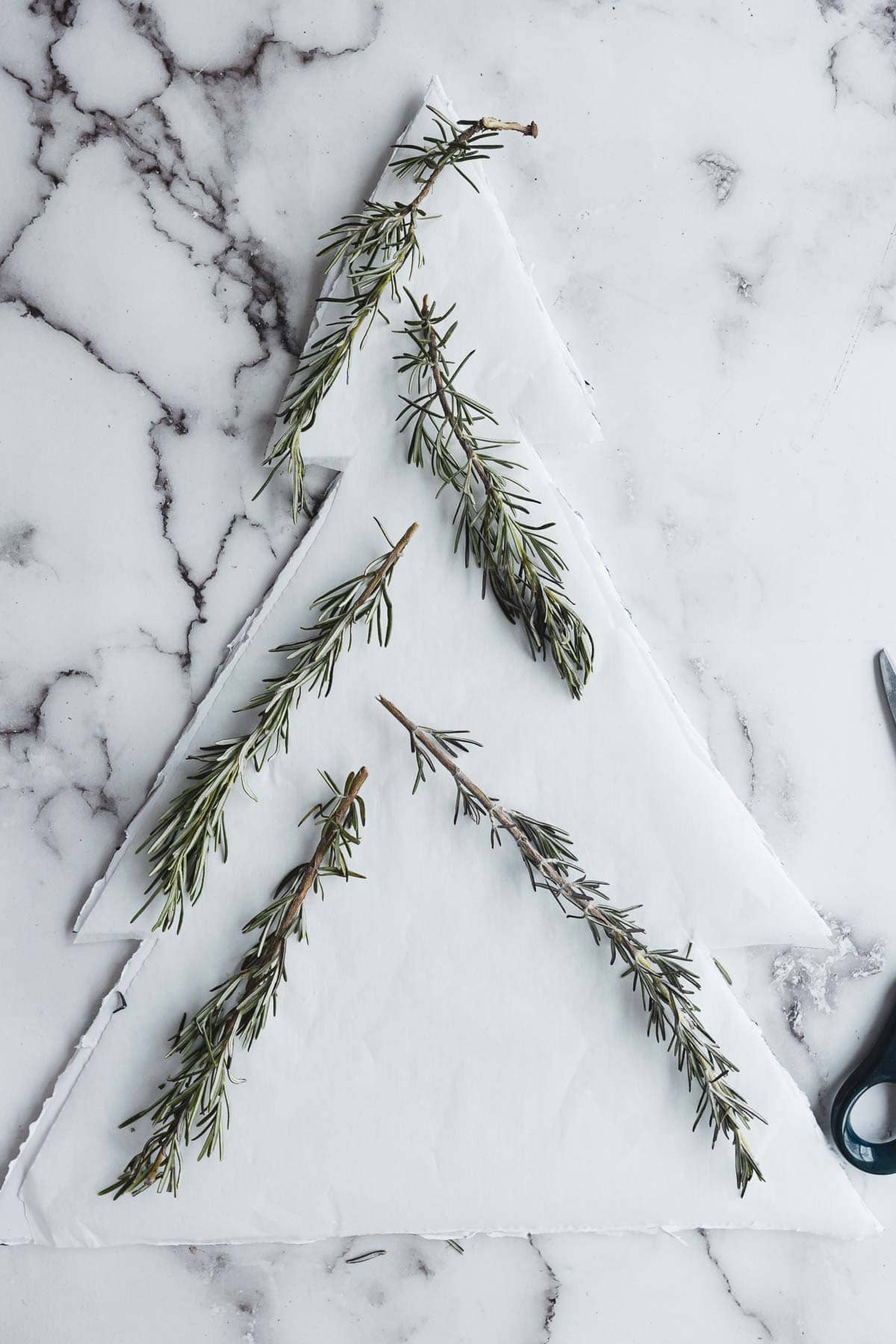 Triangle of parchment paper with rosemary sprigs arranged to resemble a Christmas Tree Charcuterie Board on a marble surface.