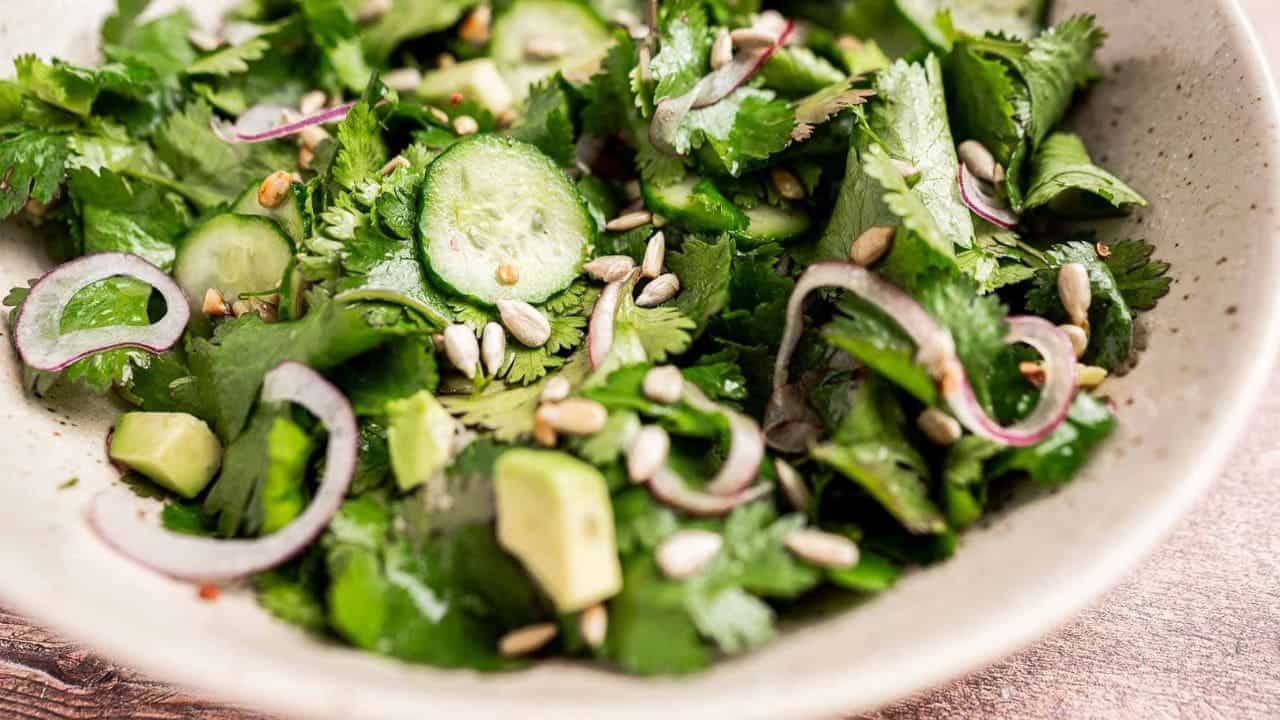 Fresh green salad with cucumber, avocado, red onion, cilantro, and sunflower seeds in a white bowl.