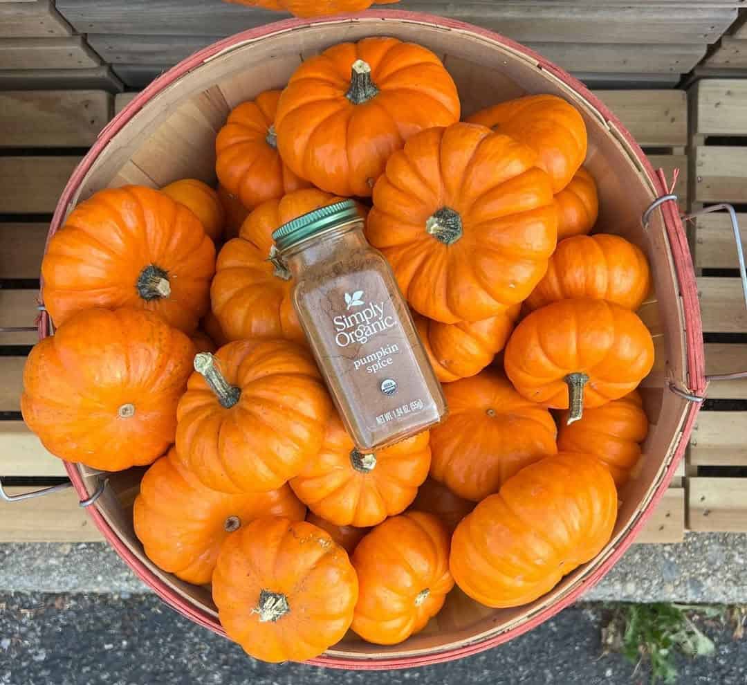 A basket of small orange pumpkins surrounds a jar of Simply Organic pumpkin spice—perfect for creating festive pumpkin spice gifts.
