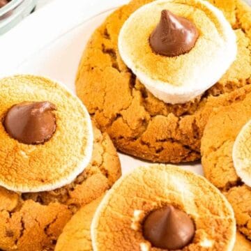 Cookies topped with toasted marshmallows and chocolate drops on a white plate.