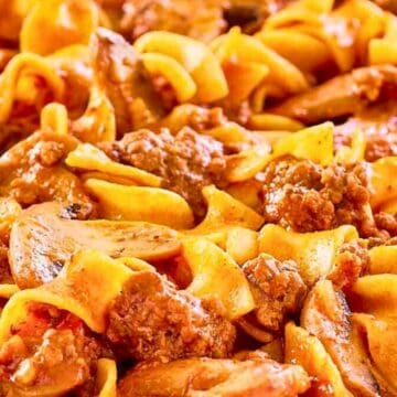 Close-up of beef stroganoff with egg noodles, ground beef, mushrooms, and creamy sauce.