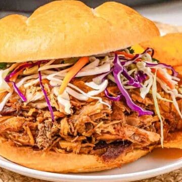Pulled pork sandwich topped with coleslaw, served with potato chips on a white plate.