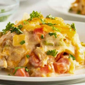 Cheesy chicken casserole with tomatoes and herbs, served on a white plate with a fork.