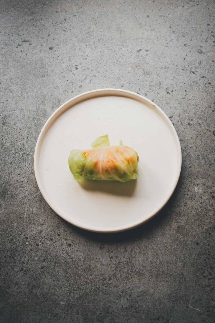 A single vegetable spring roll on a white plate, set on a gray textured surface, brings to mind the savory flavors of a Cabbage Rolls Casserole.