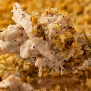 A spoonful of creamy chicken casserole topped with crumbly, golden cracker and poppy seed crust.