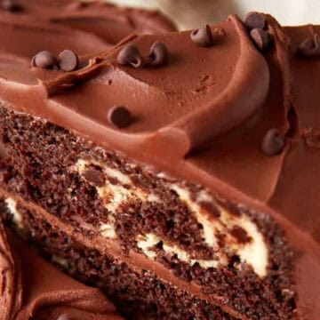 A close-up of a slice of chocolate cake with chocolate frosting and chocolate chips on top.