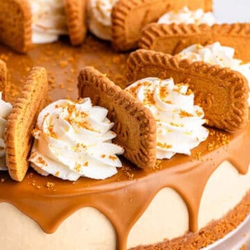 Caramel cheesecake topped with whipped cream swirls and cookie biscuits around the edge on a white plate.