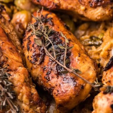 Close-up of seasoned, roasted chicken breasts topped with fresh thyme on a bed of vegetables.