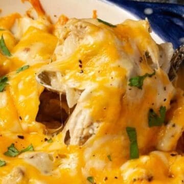 Cheesy baked casserole with shredded chicken, topped with melted cheese and chopped herbs in a blue dish.