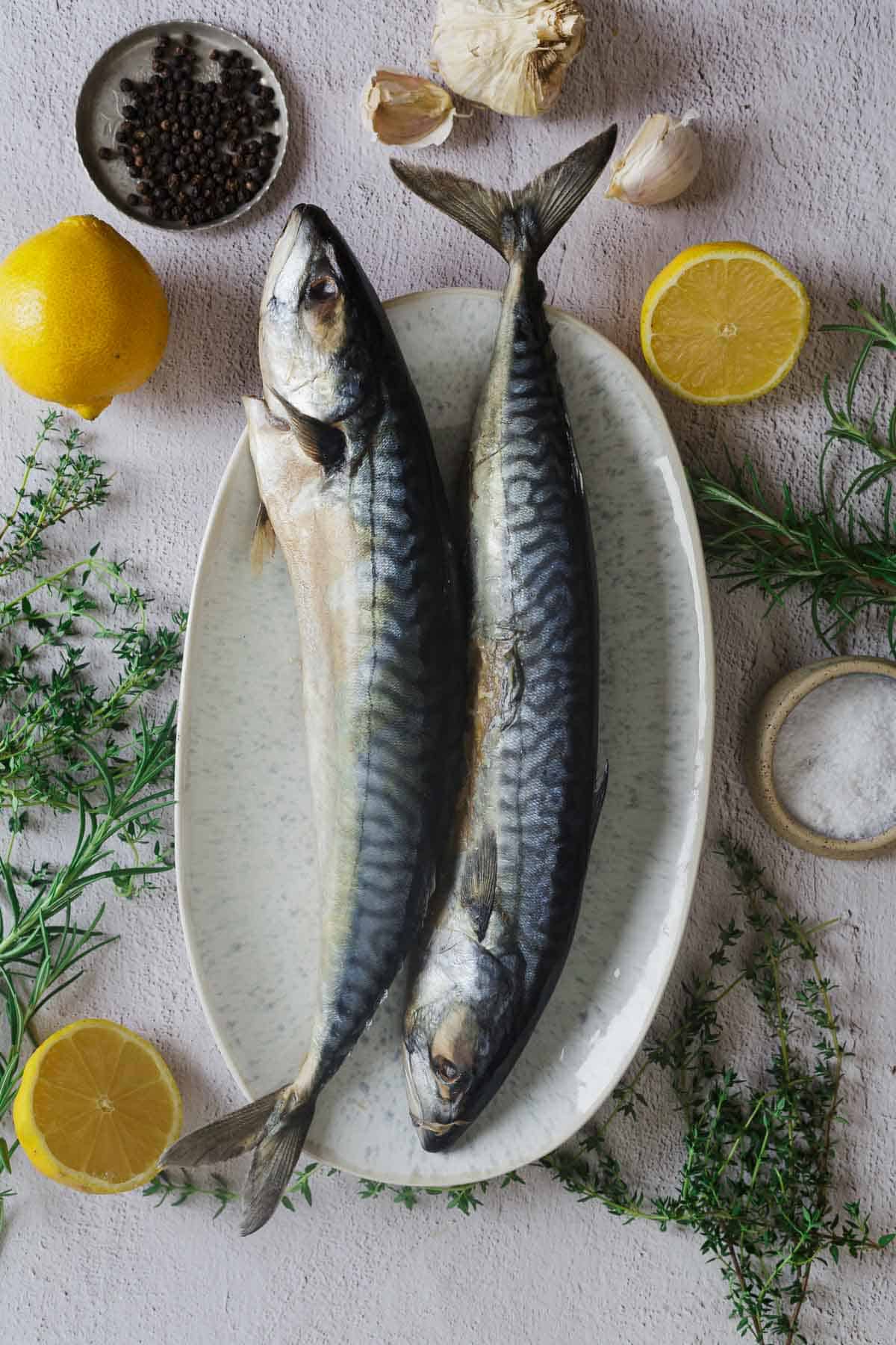 Two whole raw mackerel on a plate surrounded by lemon halves, herbs, garlic, salt, and peppercorns.